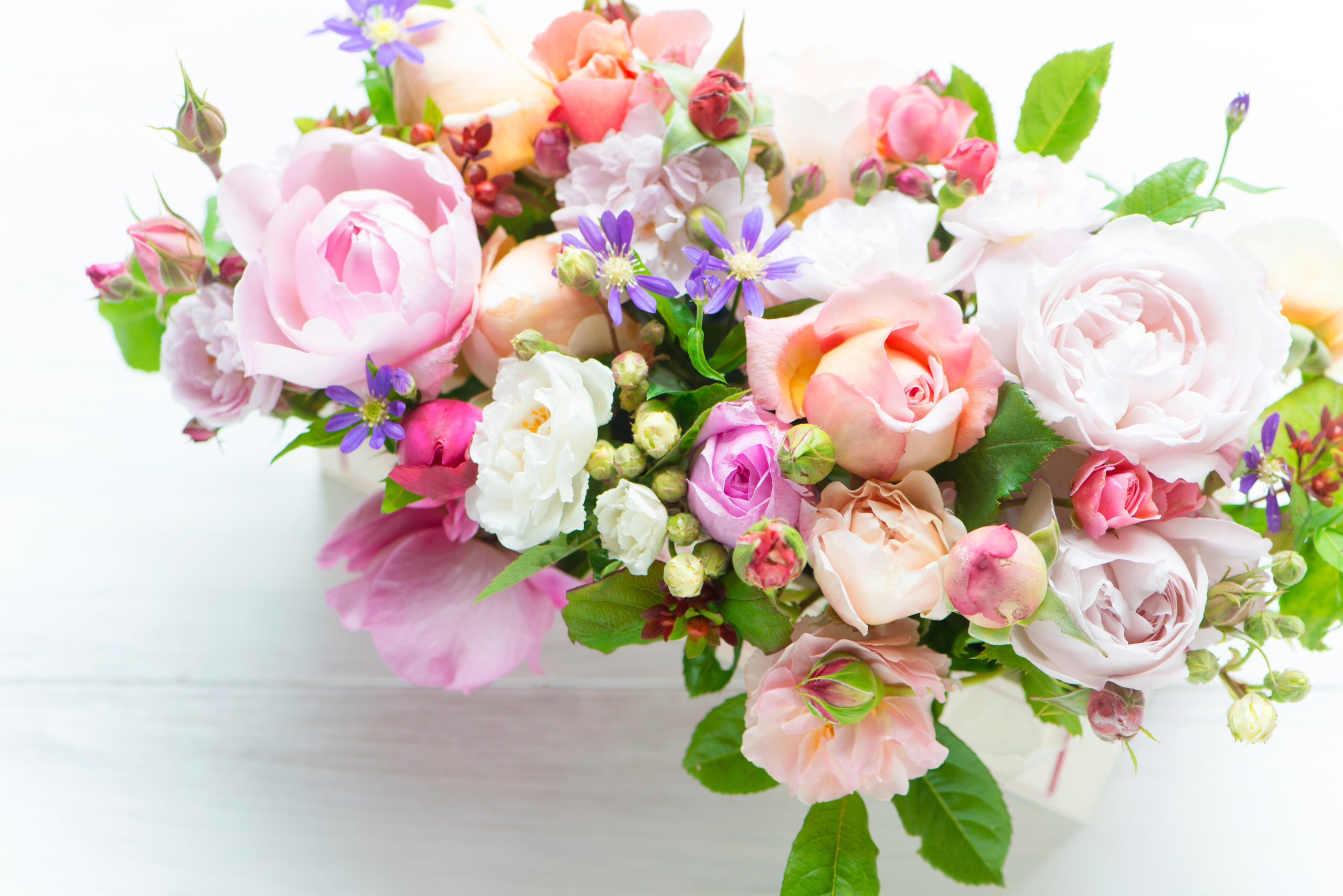 橋口 祥延先生、本当にありがとうございました。